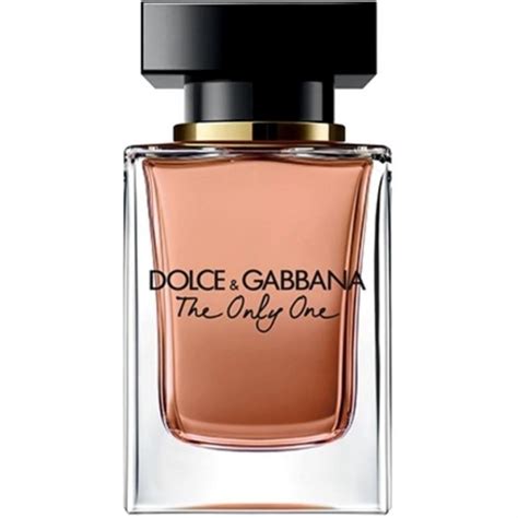 the only one dolce gabbana dupe|the only one perfume reviews.